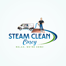steam clean logo